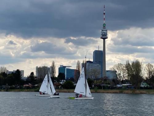 202504 Pirat Fruehlingsreg 10