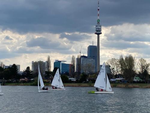 202504 Pirat Fruehlingsreg 11