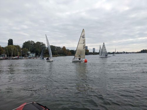 PXL 20251012 091730133