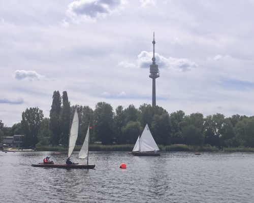 IMG 1421